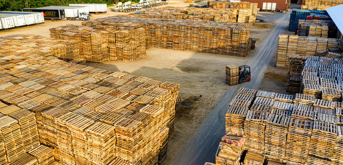 Why Are Pallets Important, and What Makes Them Valuable?